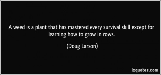 quote-a-weed-is-a-plant-that-has-mastered-every-survival-skill-except-for-learning-how-to-grow-in-rows-doug-larson-108130