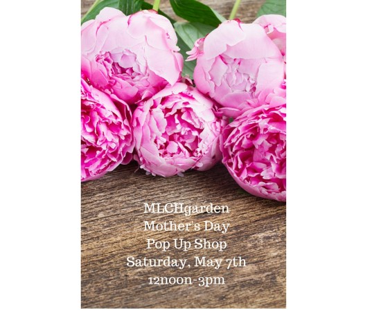 MLCHgardenMother's DayPop Up ShopSaturday, May 7th12noon-3pm